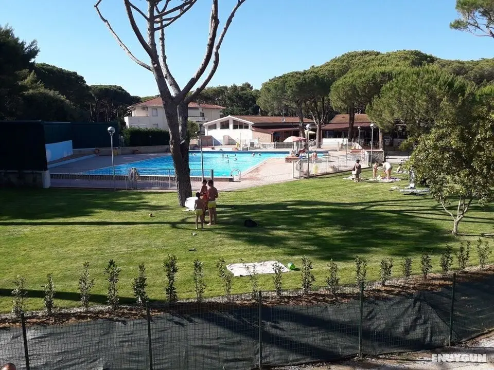 Ostro Marina di Bibbona - Oda