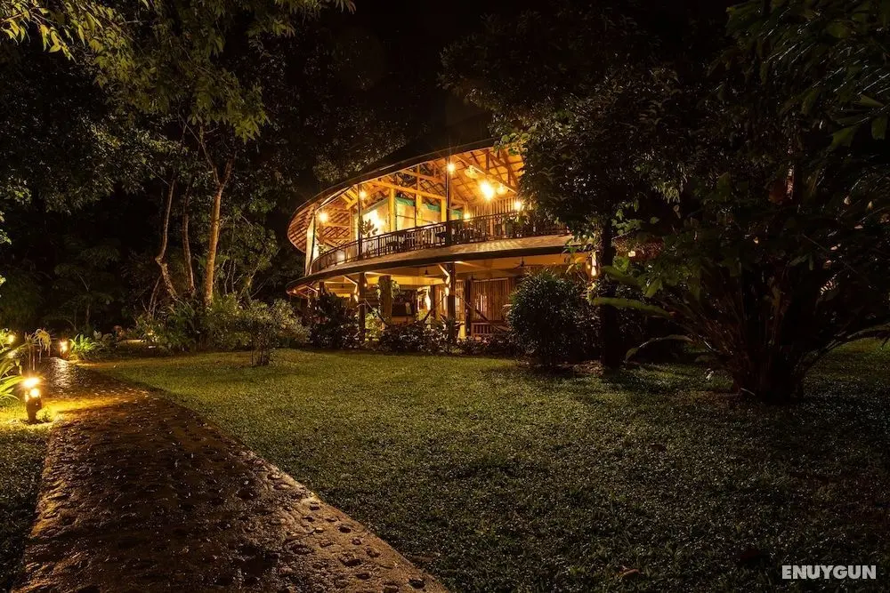 Our Jungle Camp - Eco Resort - Öne Çıkan Resim