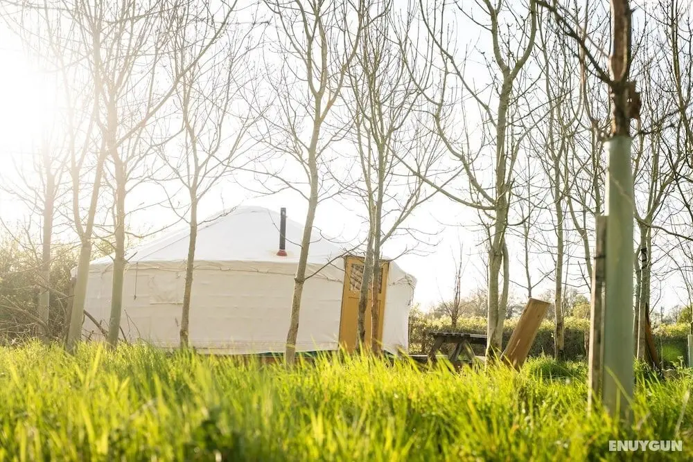 Overe - The Farm Camp - Öne Çıkan Resim