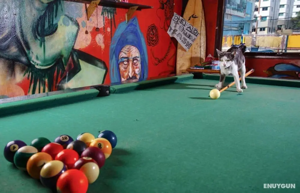 The Overstay Art Hostel - Lobi