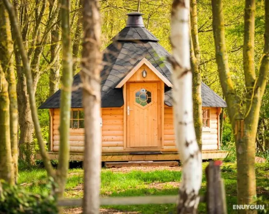Owl Lodge With Hot Tub, Sauna and Treatments - Dış Mekan