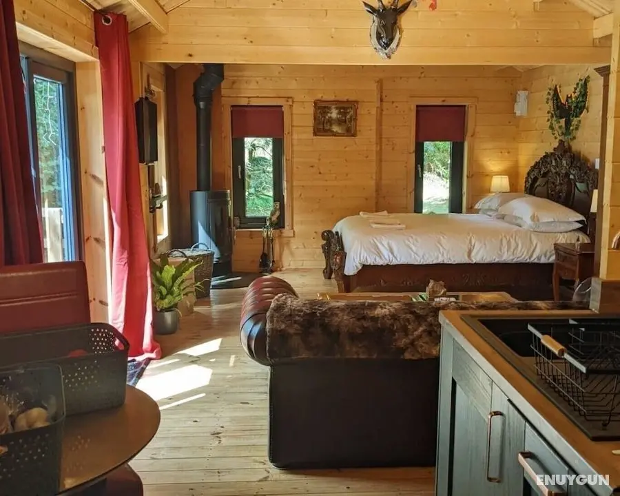 Owl Lodge With Hot Tub, Sauna and Treatments - Öne Çıkan Resim