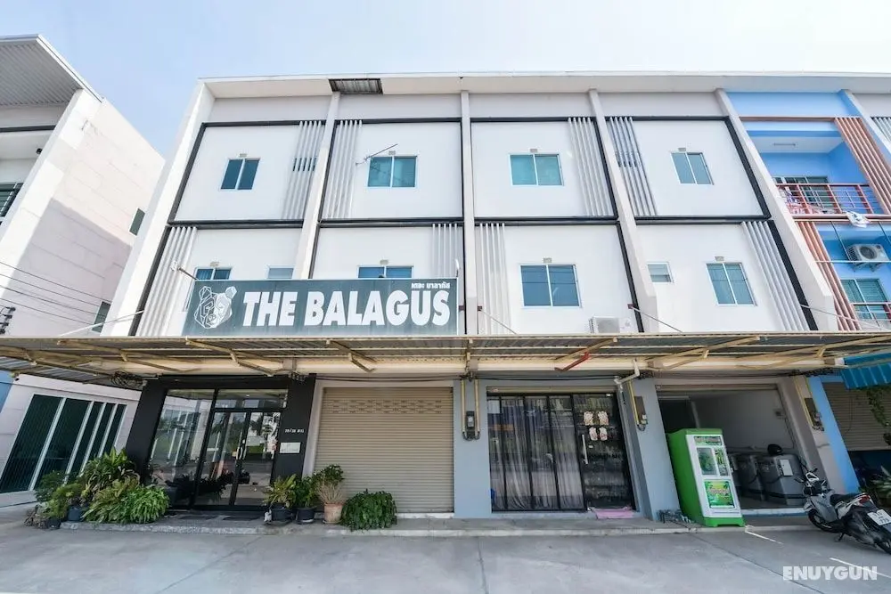 OYO 497 The Balagus Hotel - Öne Çıkan Resim