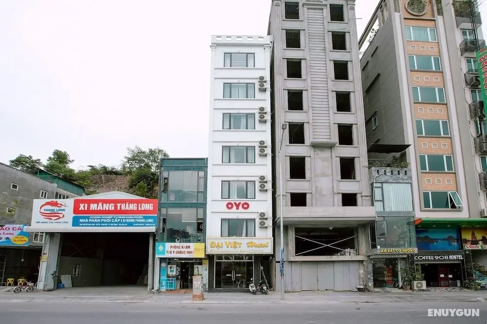 OYO 581 Dai Viet Hotel - Dış Mekan
