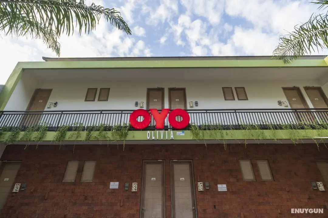 OYO 697 Olivia Inn Denpasar - Genel
