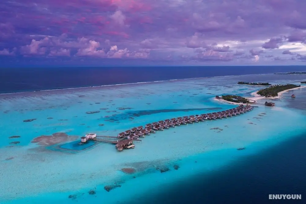 OZEN LIFE MAADHOO - All Inclusive - Öne Çıkan Resim