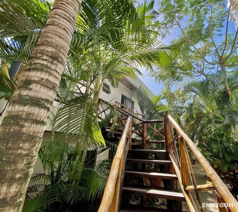 Pacha Tulum Boutique Hotel - Dış Mekan