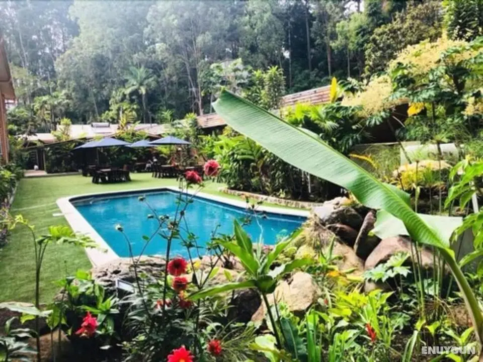 Pacific Gardens Hotel - Öne Çıkan Resim