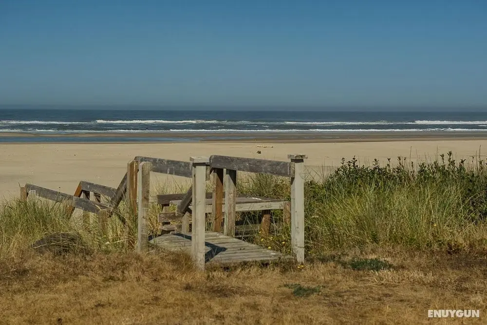 Pacific Rest - Öne Çıkan Resim