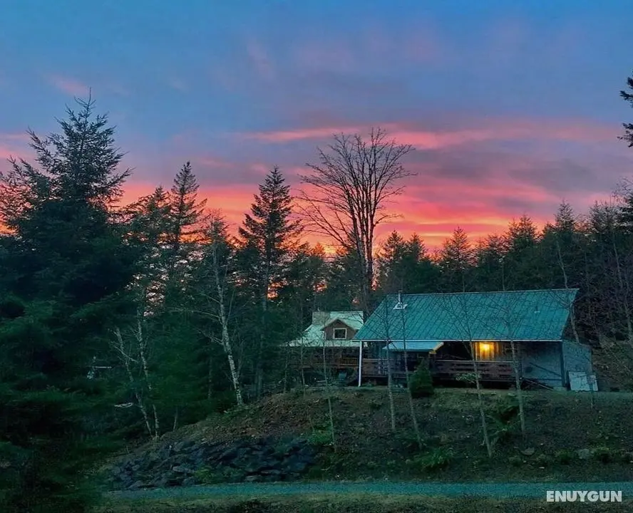 Packwood Ski & Vacation Getaway - Öne Çıkan Resim
