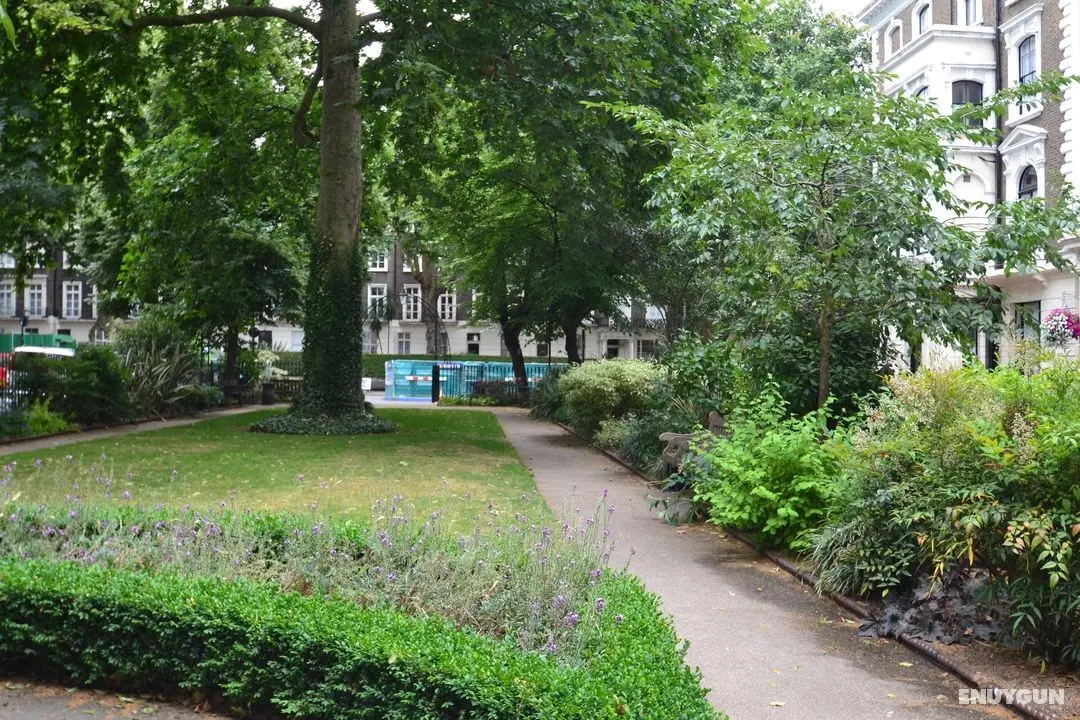 Paddington Apartments - Genel