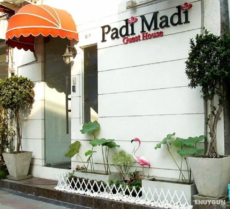 Padi Madi Guest House - Lobi