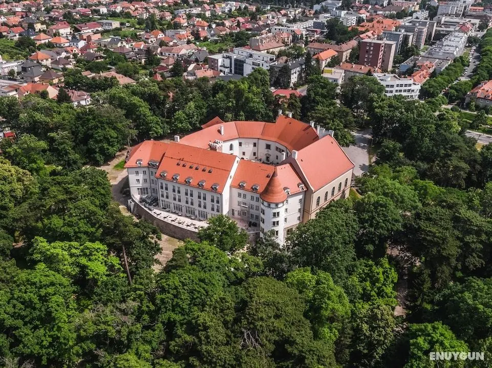 Palace Art Hotel Pezinok - Öne Çıkan Resim