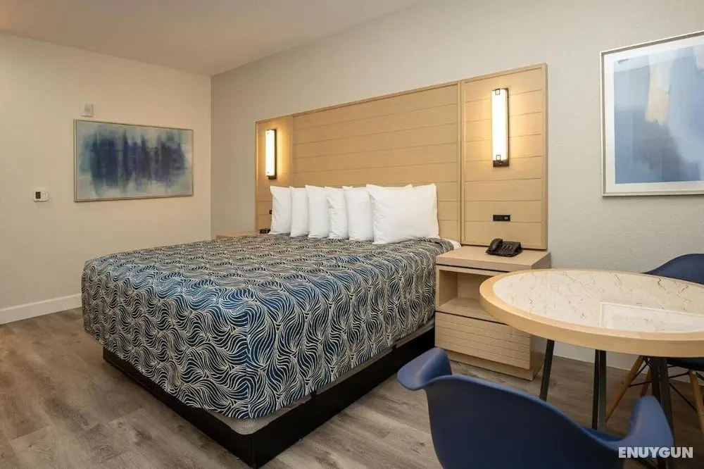 Palace Inn Blue IAH East - Oda