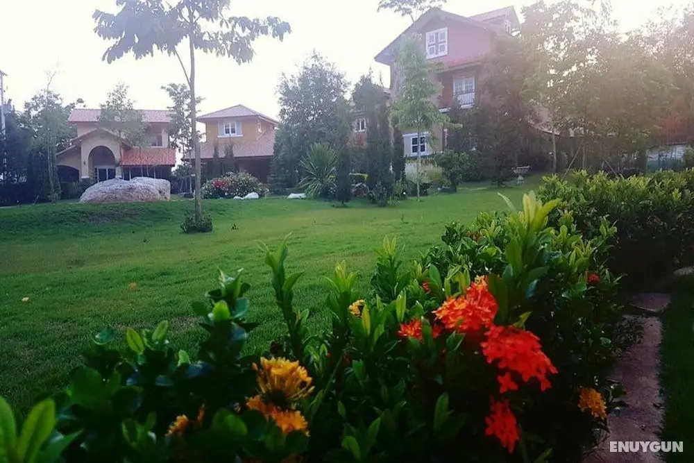 Palazzo Pavone Gallery & Resort - Dış Mekanlar