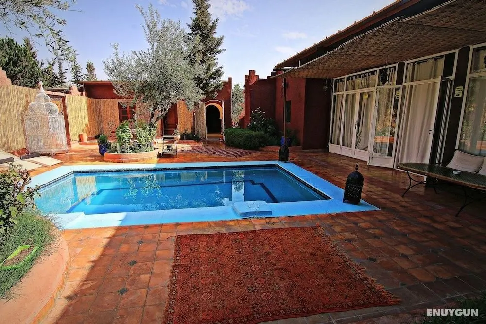 Palm Auberge - Öne Çıkan Resim