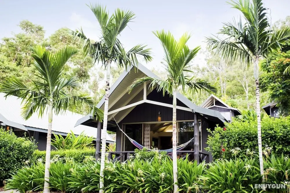 Palm Bungalows - Öne Çıkan Resim
