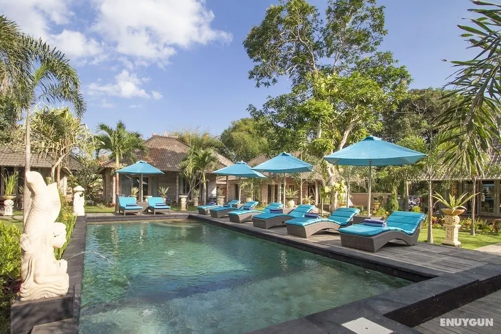 The Palm Grove - CHSE Certified - Öne Çıkan Resim