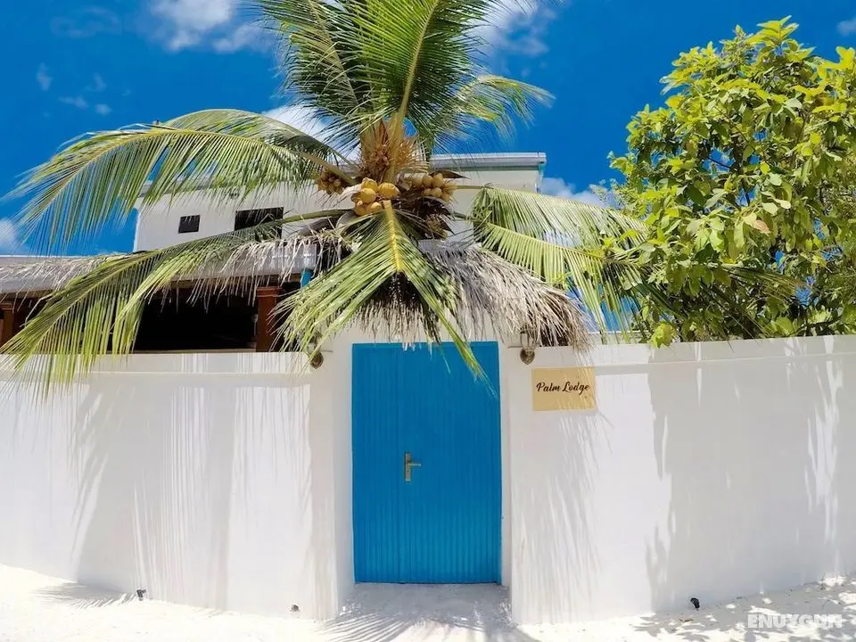 Palm Lodge - Dış Mekan