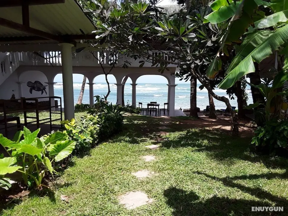 Palm Villa - Öne Çıkan Resim