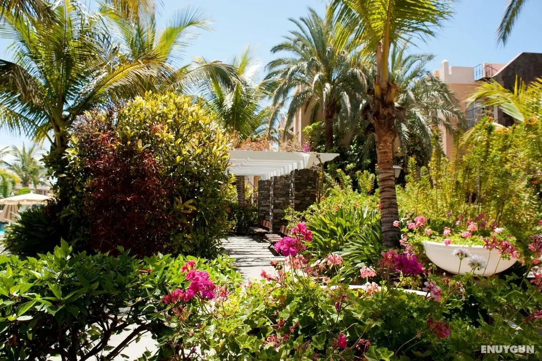 Palm Oasis Maspalomas - Genel