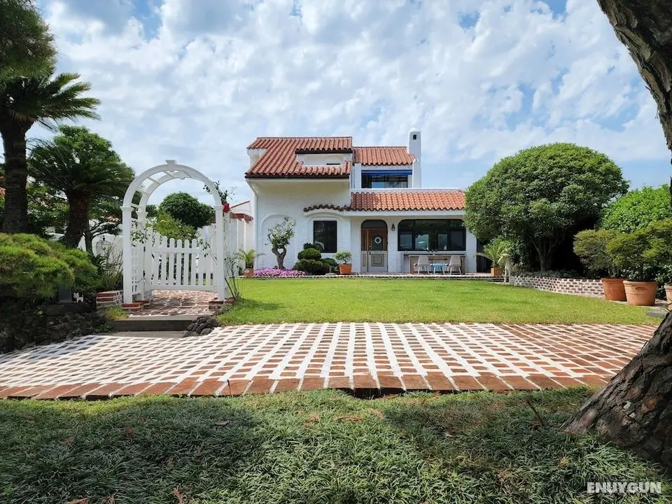 Palm Tree Villa - Öne Çıkan Resim