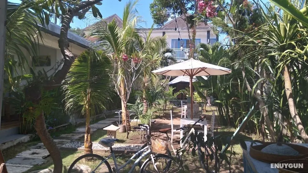 Palm Trees Villas - Öne Çıkan Resim