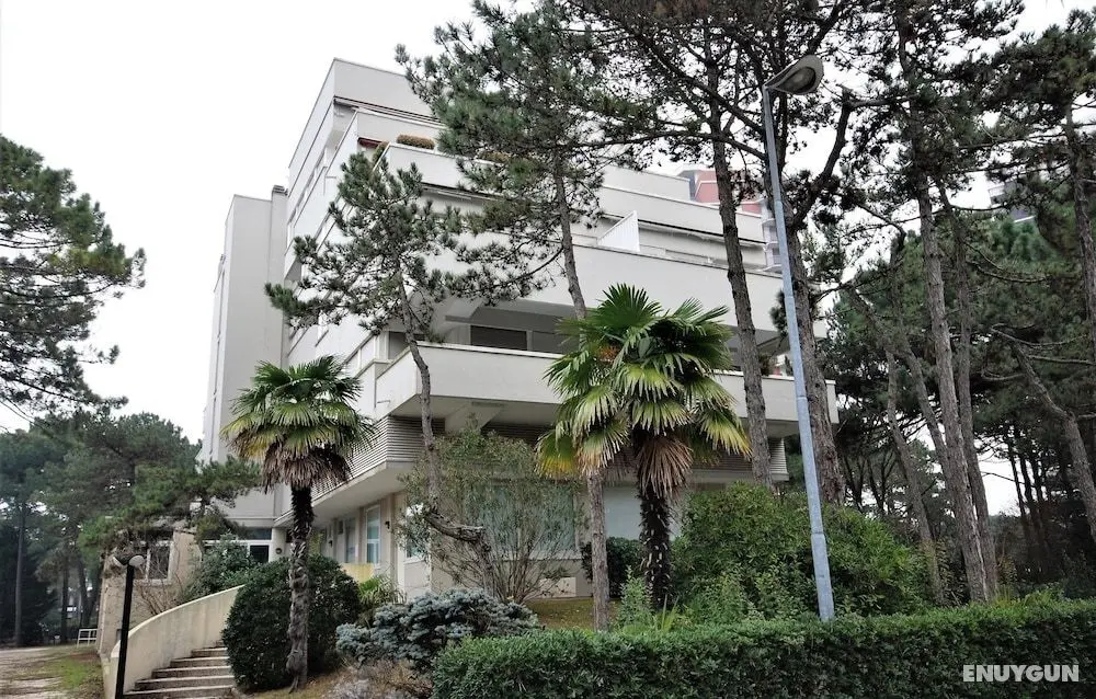 Palme Residence - Öne Çıkan Resim