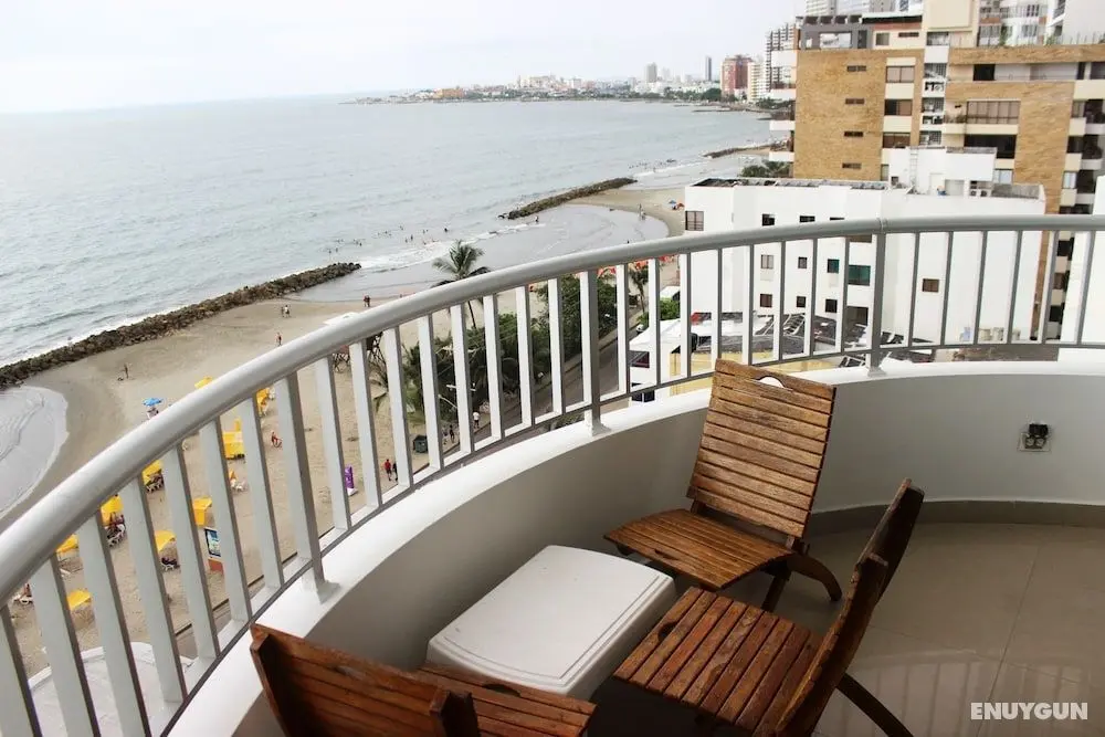 Palmetto 802 - Öne Çıkan Resim