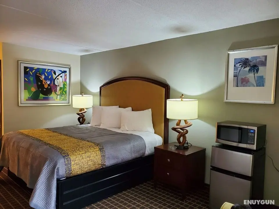 Palmetto Inn & Suites - Öne Çıkan Resim