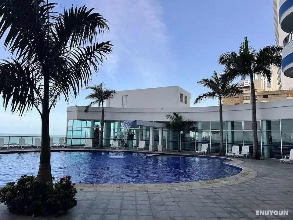 Palmetto Suite Superior 3901 - Öne Çıkan Resim