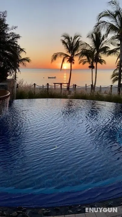 Palmilla LW 1 in La Paz - Oda