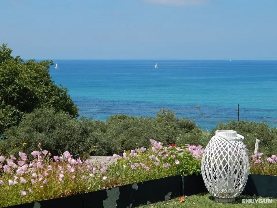 Palmina Mare Villa and Studios - Oda Düzeni