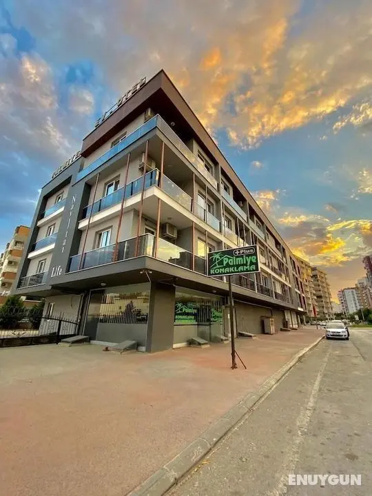 Palmiye Gold - Öne Çıkan Resim
