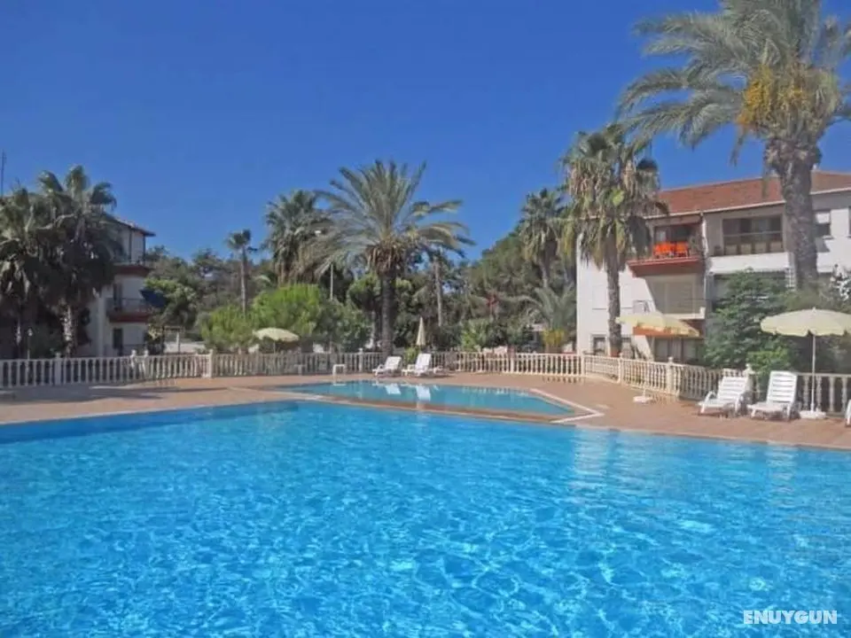 Palmiye Tatil Sitesi - Genel