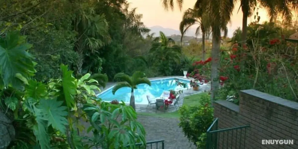 The Palms Guesthouse - Öne Çıkan Resim