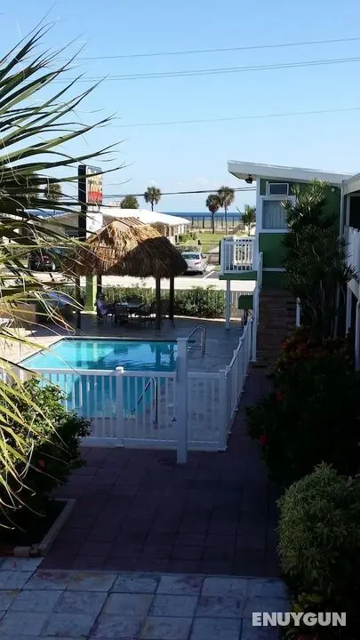 The Palms On Ocean - Öne Çıkan Resim