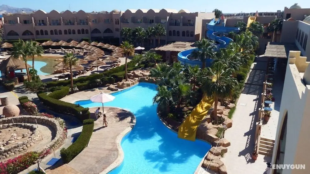 Palmyra Club Amar El Zaman - Öne Çıkan Resim