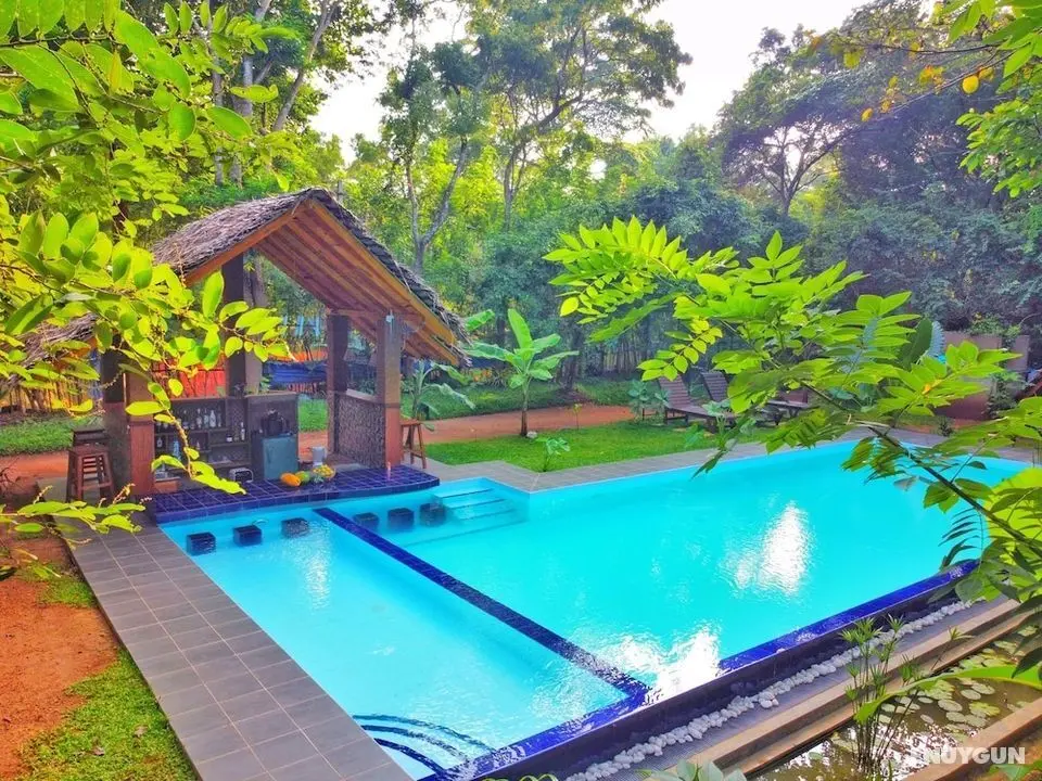Palmyra Nature Resort Sigiriya - Öne Çıkan Resim