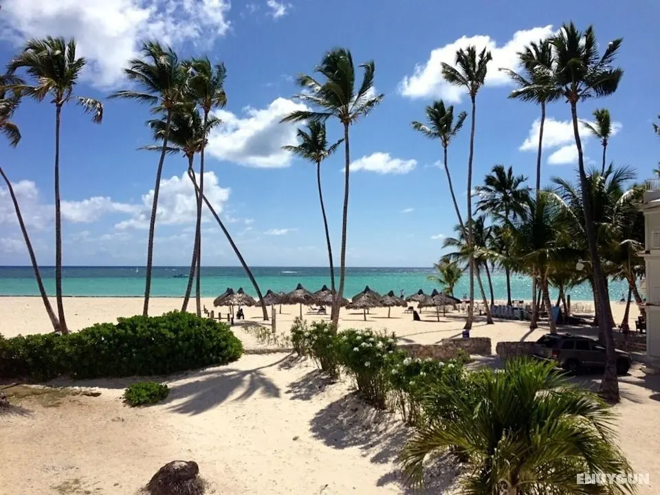 Villa Pandora Luxury Beachfront Villa in Los Corales Bavaro - Oda
