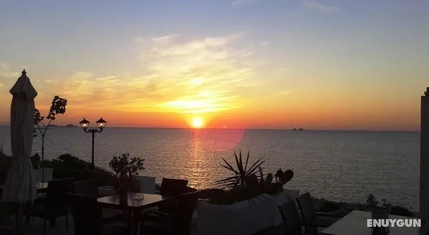 Pandrossos - Genel
