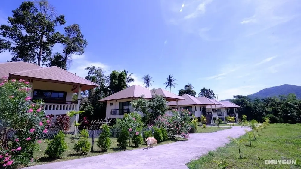 Pannipa Villa - Öne Çıkan Resim