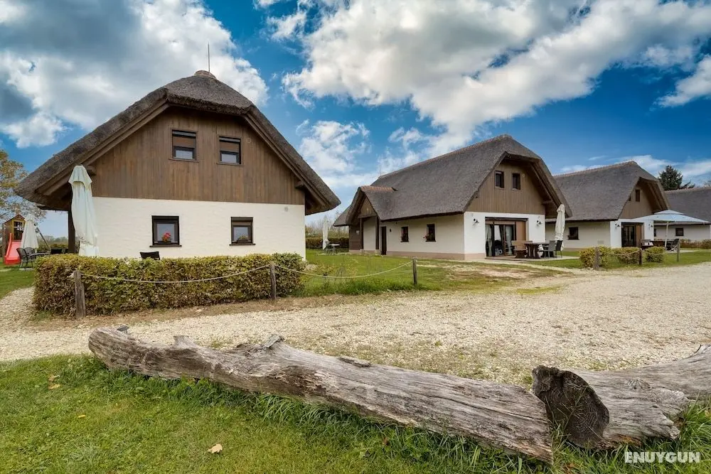 Pannonian Studio For Two - Öne Çıkan Resim