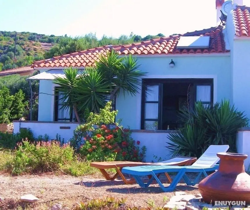 Panorama Villas - Öne Çıkan Resim