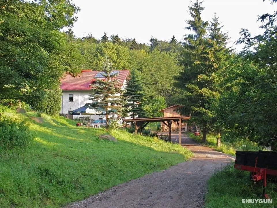 Panoramic-view Apartment in Kurort Brotterod With Sauna - Öne Çıkan Resim