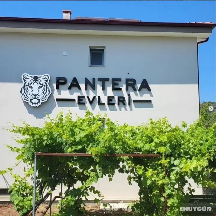Pantera Evleri - Genel