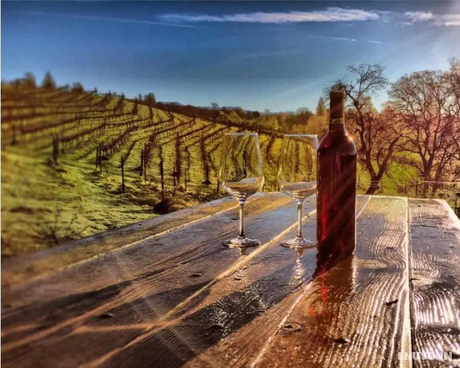 Papillon Cellars - Öne Çıkan Resim