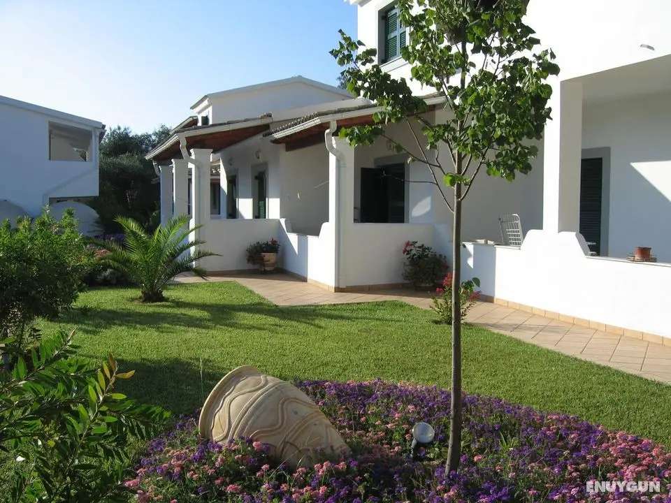 Paradise Inn - Genel