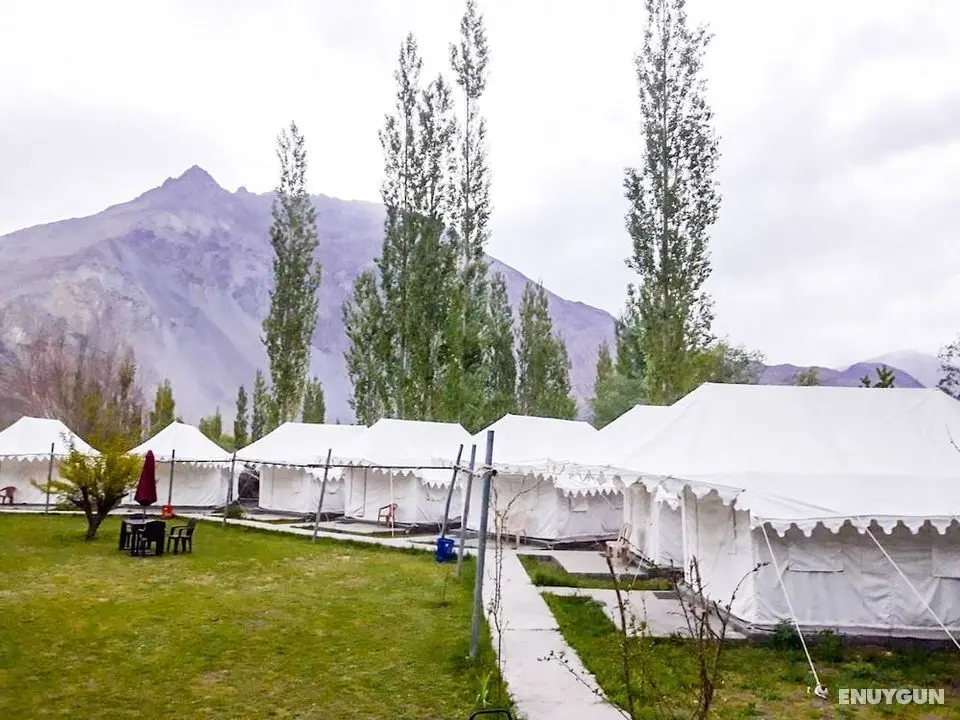 Paradise North Camp - Öne Çıkan Resim