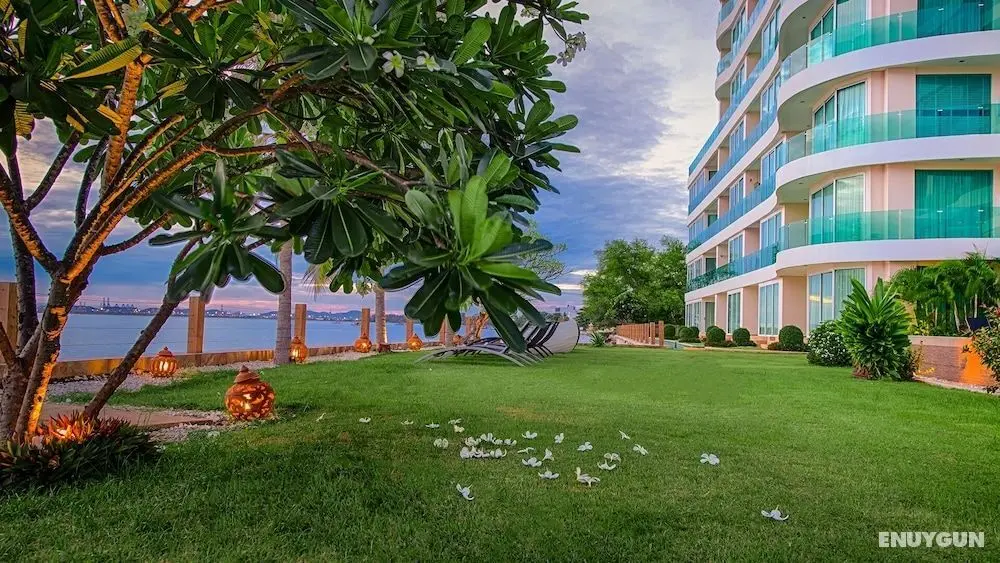 Paradise Ocean View - Öne Çıkan Resim